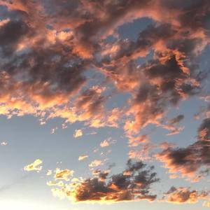 Meet your Posher, Bella